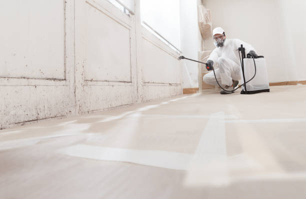24/7 Emergency Attic Mold Removal experts in Seaboard, NC